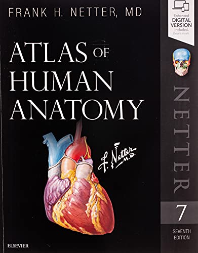 Atlas of Human Anatomy, 7e (Netter Basic Science)