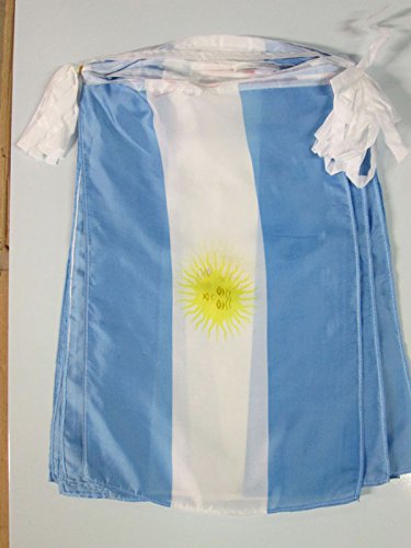 AZ FLAG Guirnalda 12 Metros 20 Banderas de Argentina 45x30cm - Bandera Argentina 30 x 45 cm - BANDERINES