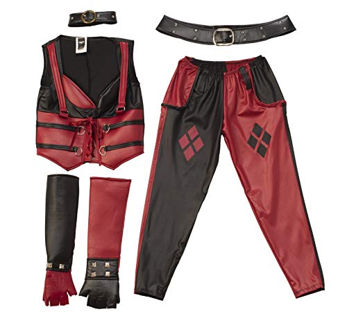 Batman Arkham City Harley Quinn Sexy Corset & Pants Costume Adult Small 2-6