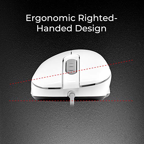 BenQ ZOWIE EC2 - Ratón ergonómico para juegos para Esports White Edition | Rendimiento de grado profesional, sin conductor, revestimiento brillante, tamaño mediano