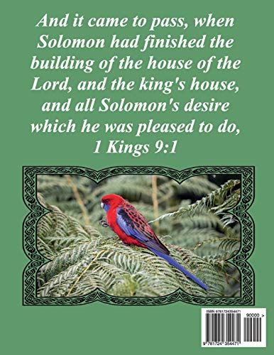 Bible Word Search Walk Through The Bible Volume 55: 1 Kings #3 Extra Large Print (Bible Word Search Puzzles For Adults Jumbo Print Bird Lover's Edition)
