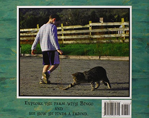 Bingo Explores the Farm (The Bingo the Cat Series)