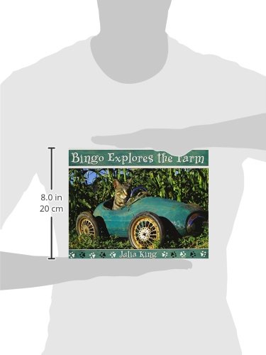 Bingo Explores the Farm (The Bingo the Cat Series)