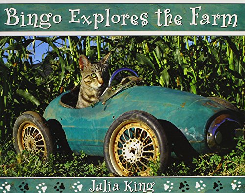 Bingo Explores the Farm (The Bingo the Cat Series)