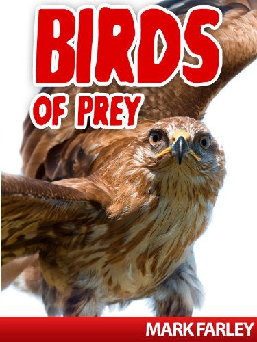 Birds Of Prey! A Children’s eBook About the Kings of the Airborne Animal Kingdom with Videos (English Edition)