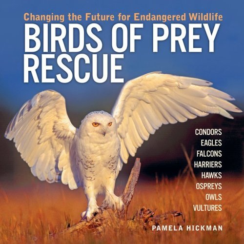 [[Birds of Prey Rescue: Changing the Future for Endangered Wildlife (Firefly Animal Rescue)]] [By: Hickman, Pamela] [May, 2006]