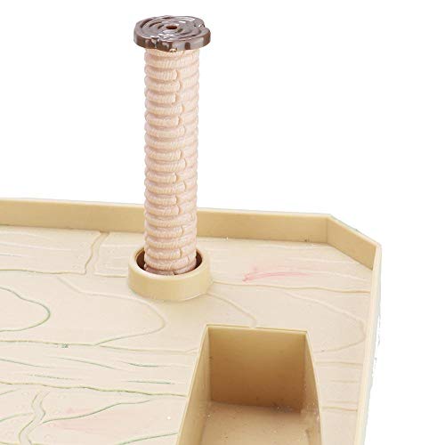 Biunixin Venta Loca Plataforma para Tomar el Sol de Las Tortugas, Acuario Tortuga Salamander Pier Reptil Isla Flotante Plataforma para Tomar el Sol