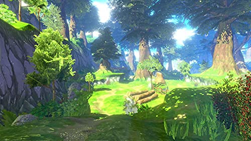 Black Clover : Quartet Knights [Importación francesa]