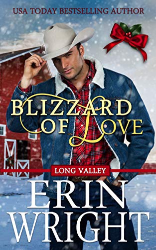 Blizzard of Love: A Western Holiday Romance Novella (Cowboys of Long Valley Romance Book 2) (English Edition)