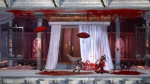 Bloodstained - Ritual of the Night (PlayStation PS4)