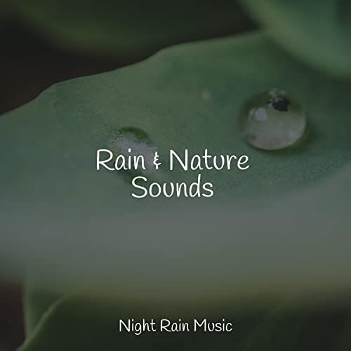 Bonfire in the Woods