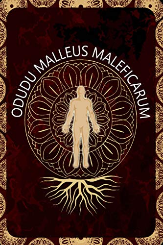 Book of the Condemned (BTF 1) (English Edition)