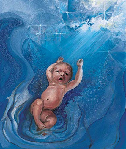 Born With a Bang: The Universe Tells Our Cosmic Story (Sharing Nature With Children Book)