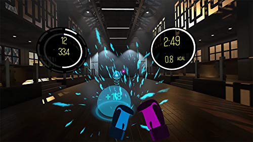 Box VR (PSVR Required)