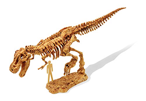 Buki France- Dino Kit, Figura de T-Rex (439TYR)