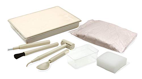 Buki France- Dino Kit, Figura de T-Rex (439TYR)