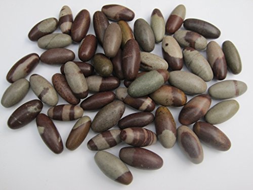 Bulk 3 pulgadas Shiva Lingam Pocket Stones - 51 Pc. Lote - Best Priceshiva Sacred Narmada Bana Lingam, Shri Narmadeshwar Banalinga - Spiritual