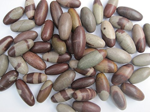 Bulk 3 pulgadas Shiva Lingam Pocket Stones - 51 Pc. Lote - Best Priceshiva Sacred Narmada Bana Lingam, Shri Narmadeshwar Banalinga - Spiritual