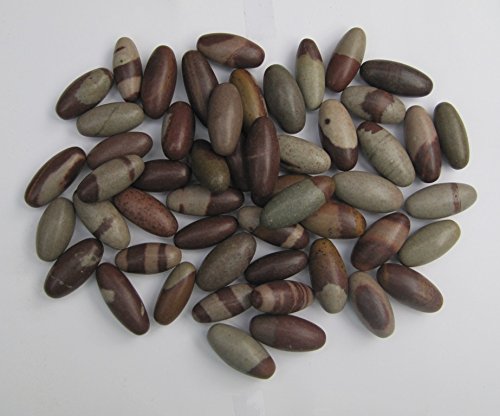 Bulk 3 pulgadas Shiva Lingam Pocket Stones - 51 Pc. Lote - Best Priceshiva Sacred Narmada Bana Lingam, Shri Narmadeshwar Banalinga - Spiritual