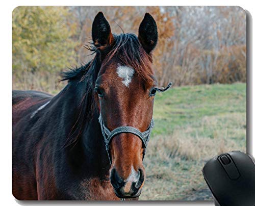 Caballo de Goma Modificado para requisitos particulares de la Hierba del Semental del Primer de Mousepad con la Frontera Cosida