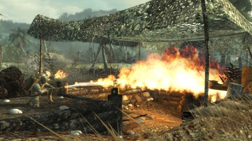 Call of Duty: World at War (Wii) [Importación inglesa]