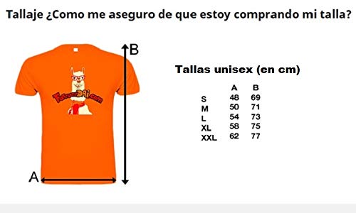 Camiseta Pokémon Go - Equipo Instinto,Valor y Místico (M, Valor)