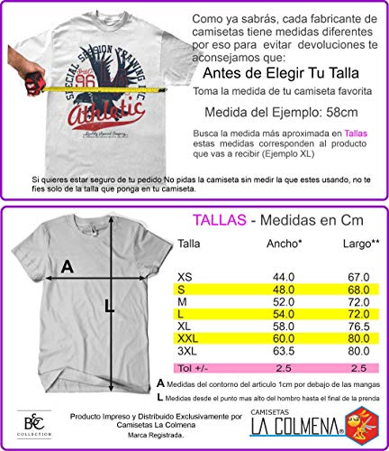 Camisetas La Colmena 154 Bouncy Star - (by Fernando Sala Soler) (L, Gris Oscuro.)