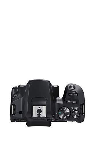 Canon EOS 250D - Cámara Digital (24,1 MP, 6000 x 4000 Pixeles, CMOS, 4K Ultra HD, Pantalla táctil) Negro