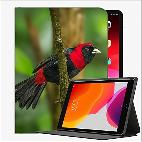 Caso en Forma de Nuevo iPad 8ª generación 10.2 "2020 / iPad 7th Gen 2019, Tanager Birt Feathers # 7 Funda de Concha Delgada para iPad iPad 10.2 Pulgadas