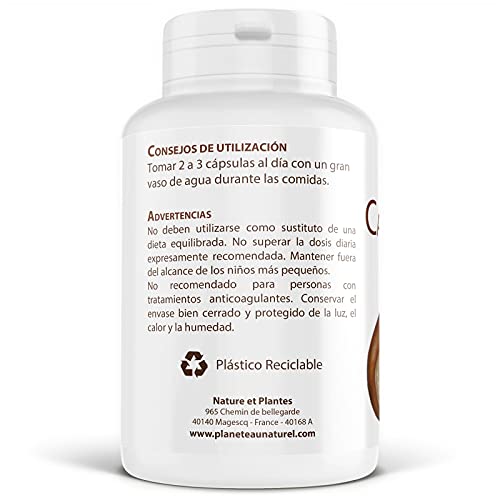 Castaño de Indias Orgánico - Aesculus hippocastanum - 250 mg - 200 cápsulas vegetales
