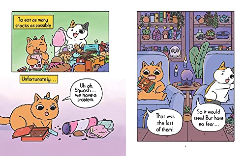 CAT & CAT ADV 01 QUEST FOR SNACKS: The Quest for Snacks (Cat & Cat Adventures)