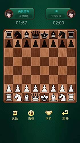 Chess - online double play strategy game