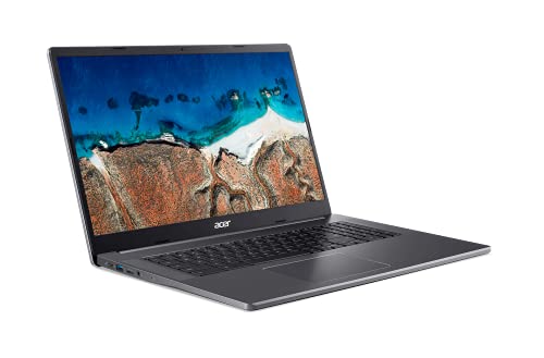 Chromebook 317_17.3" FHD IPS_17.3" FHD IPS_Celeron N4500_8GB_64GB eMMc_Chrome OS