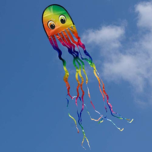 CIM Cometa de una cuerda - Draki RAINBOW - por niños con edad a partir de 3 años - 25x160cm - Cordón incluidos