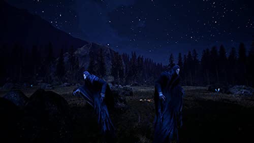 Citadel : Forged with Fire pour PS4 [Importación francesa]