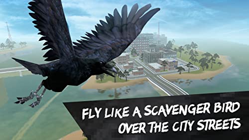 City Bird: Crow Simulator 3D