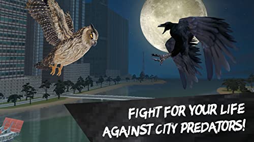 City Bird: Crow Simulator 3D