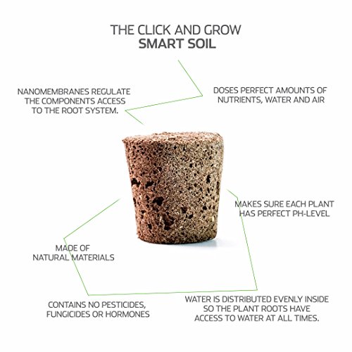 Click and Grow Smart Garden Mibuna - Juego de 3 cápsulas para plantas