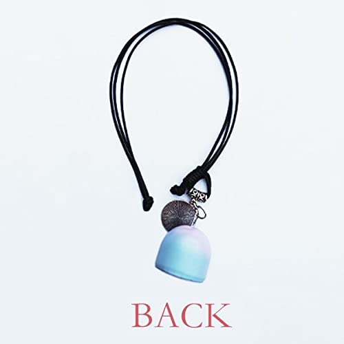 comp Bandera de Paraguay Facial Maquillaje Cabeza Casquillo Viento Campana Coche Colgante