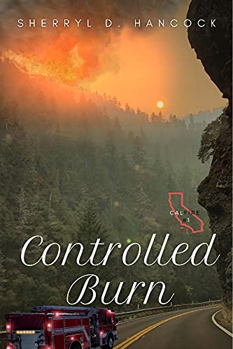 Controlled Burn (CalFire Book 1) (English Edition)