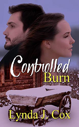 Controlled Burn (English Edition)