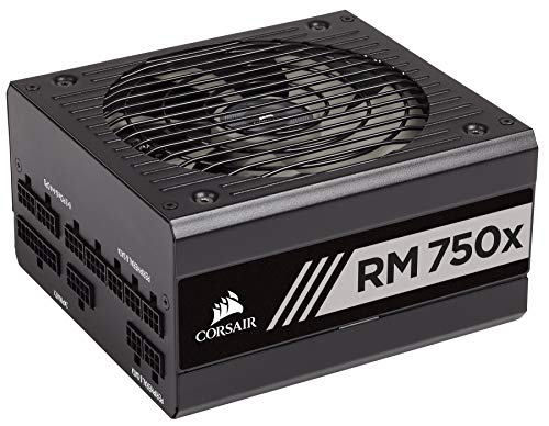 Corsair CP-9020179-EU RM750x - Fuente de alimentación (totalmente modular, 80 Plus Gold, 750 W, EU) negro