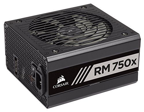 Corsair CP-9020179-EU RM750x - Fuente de alimentación (totalmente modular, 80 Plus Gold, 750 W, EU) negro