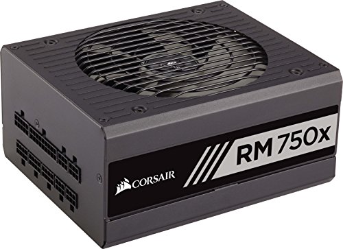 Corsair RM750x - Fuente de Alimentación (Completamente Modular, 80 Plus Gold, 750 Watt, EU)