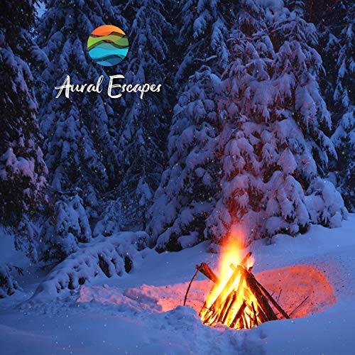Cozy Snowy Winter Campfire