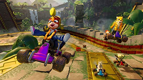 Crash Team Racing Nitro Fueled + Crash N. Sane Trilogy bundle