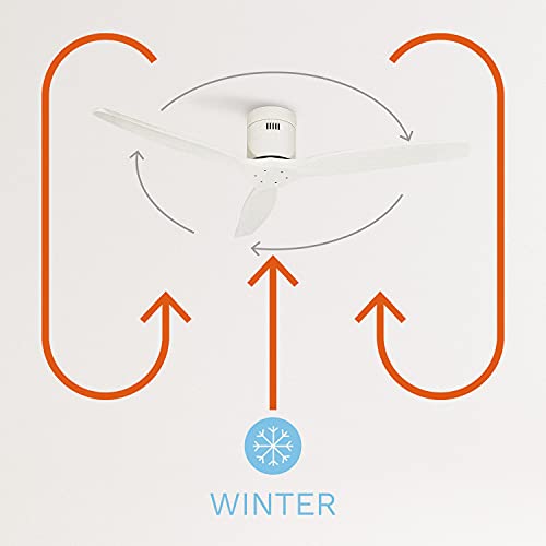 CREATE IKOHS WINDCALM DC - Ventilador de Techo, Silencioso, 3 Aspas, Mando a Distancia, 132 cm de Diámetro, 6 Velocidades,Temporizador, Aspas de Madera, Motor DC, 40W