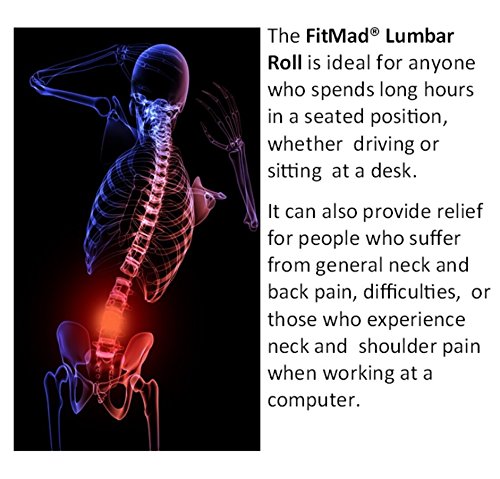 D Shape Original Lumbar Roll - Helps Prevent Back Pain - Lower Back Support Cushion for your Home, Office Chair and Car - NEW Ergonomic Design with 3D Cool Mesh Fabric - (D-Shaped Roll)