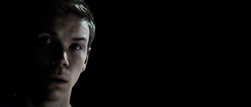 Dark Pictures Little Hope - PlayStation 4 [Importación francesa]