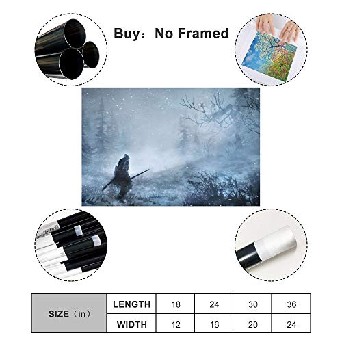 Dark Souls Ashes of Ariandel - Lienzo decorativo para pared (30 x 45 cm)